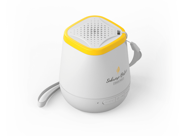 Personalised Speaker